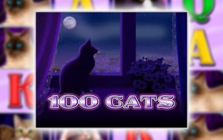 Machine à sous 100 Cats