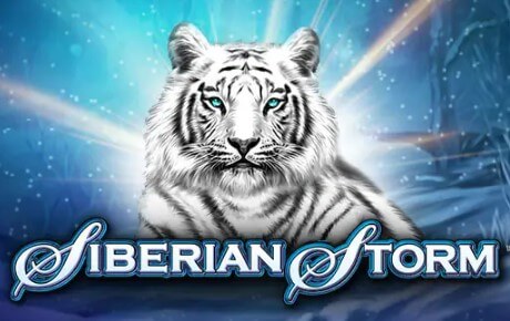 Siberian Storm Machine à Sous Siberian Storm