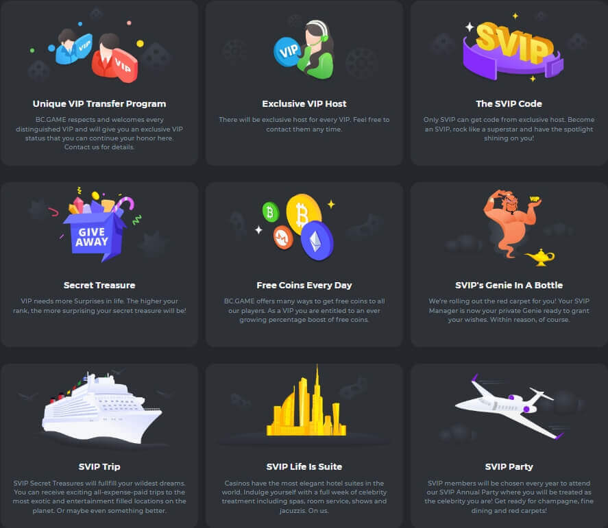 BC.Game Casino Programme VIP