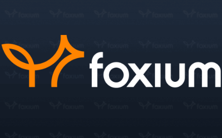 Foxium Développeur de machines à sous 9 rouleaux