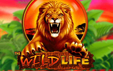 Machine a sous The Wild Life