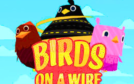 Birds on a Wire Machine a sous Birds on a Wire