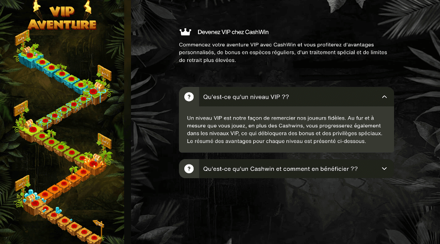 Cashwin Casino Programme VIP