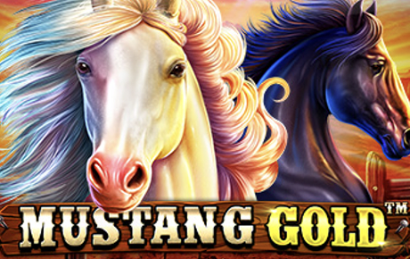 Mustang Gold Mustang Gold Machine a sous